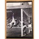 Signed picture of Harry Gregg the Northern Ireland footballer